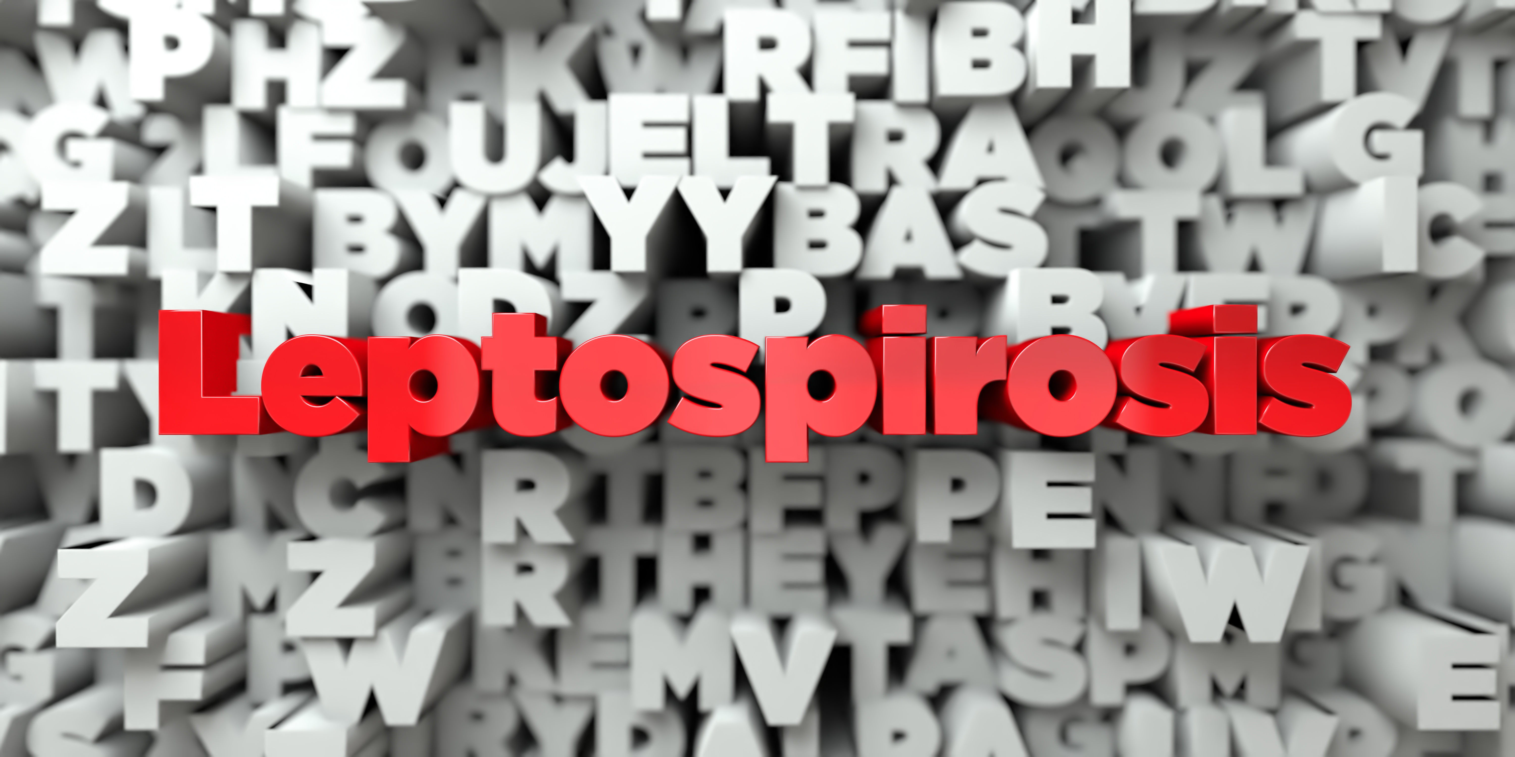 Leptospirosis